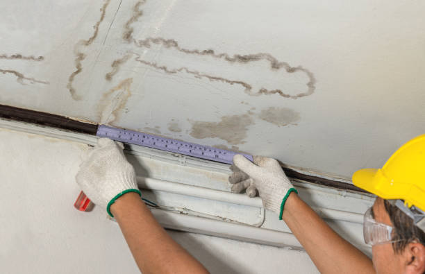 Reliable Water Extraction contractor in Frisco, TX by Water Damage Irwin